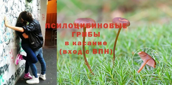 сатива Алексеевка