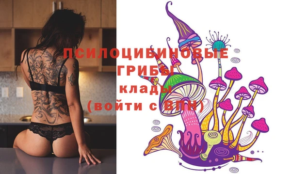 apvp Алзамай