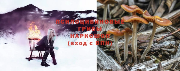 apvp Алзамай